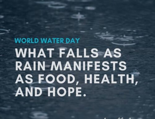 For World Water Day, help make it rain 🌧️