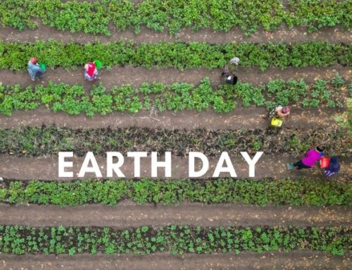 Earth Day: Nurturing Sustainability at Save the Rain’s Farm