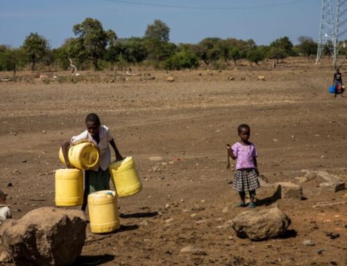 Why We Bring Water Home