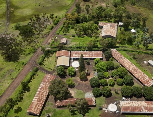 No More Empty Desks at Sakila Primary School